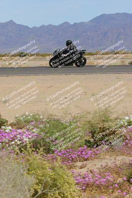 media/Mar-12-2023-SoCal Trackdays (Sun) [[d4c8249724]]/Turn 15 Inside Bloom (130pm)/